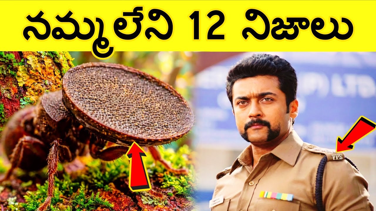 12 Facts In Telugu | Unknown Facts in Telugu |Interesting Facts | Telugu facts | Ep.24 | CTC FACTS
