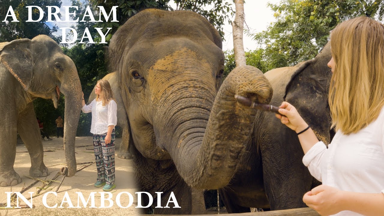 visiting an ethical elephant sanctuary in cambodia