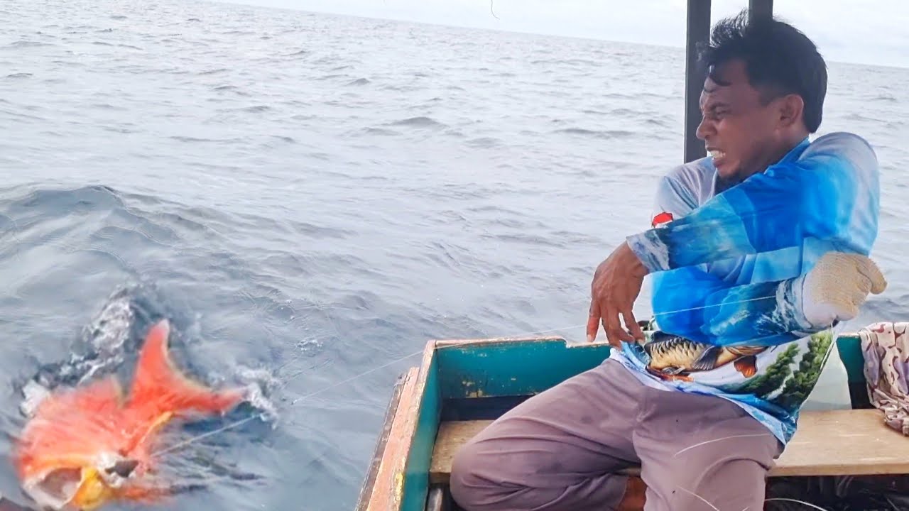 TERNYATA IKAN BESAR, PETUKANNYA SEPERTI IKAN KECIL LANGSUNG LARI