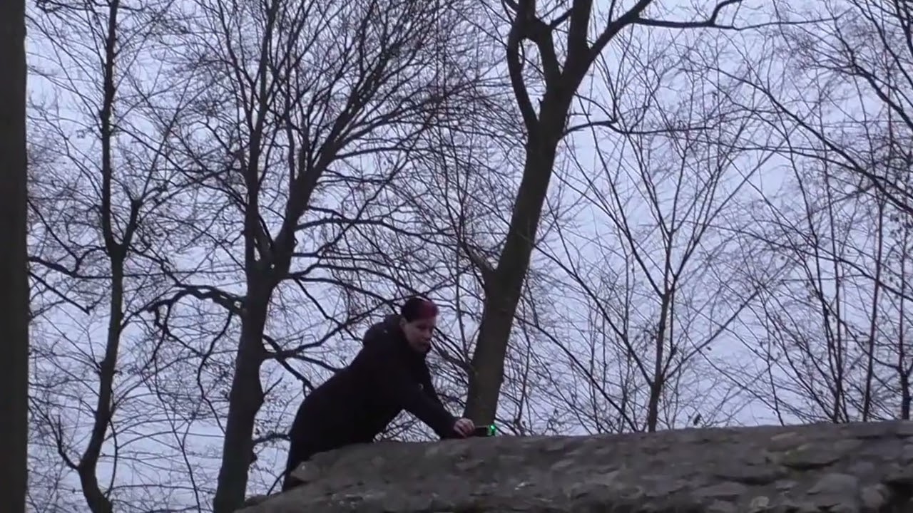 Die Burg