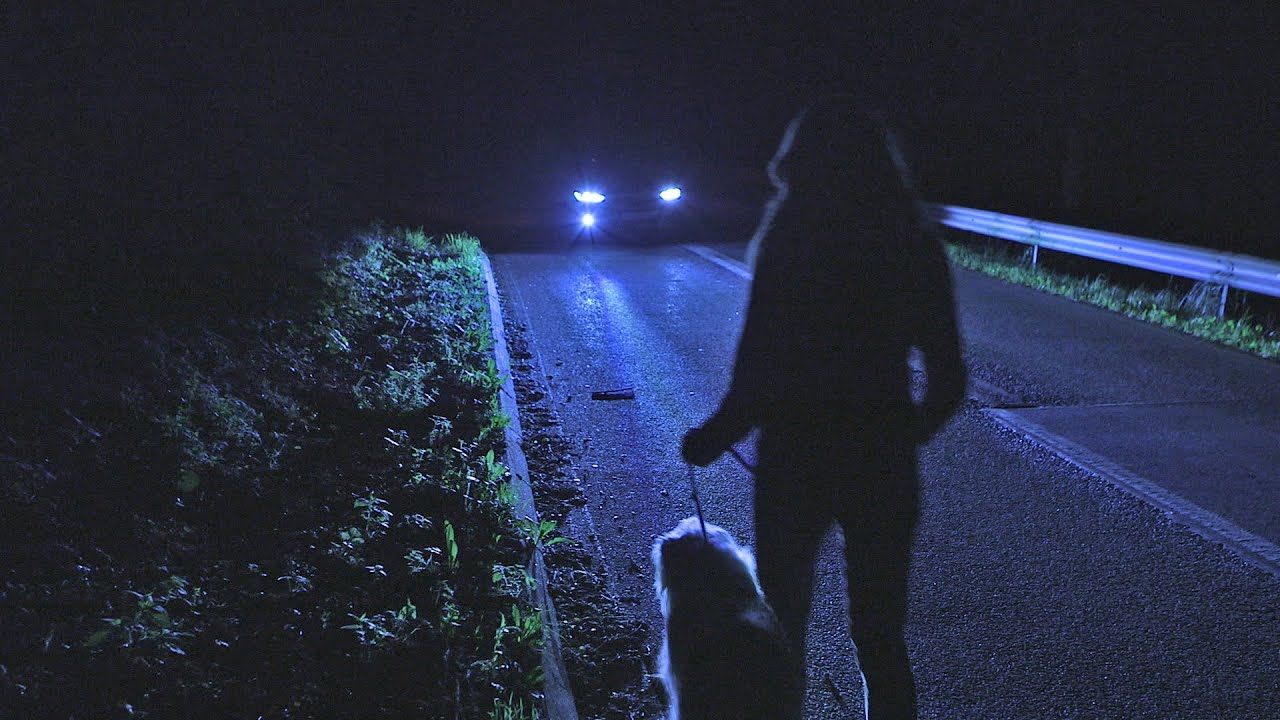 The new car headlights that can see roundabouts and spotlight deer