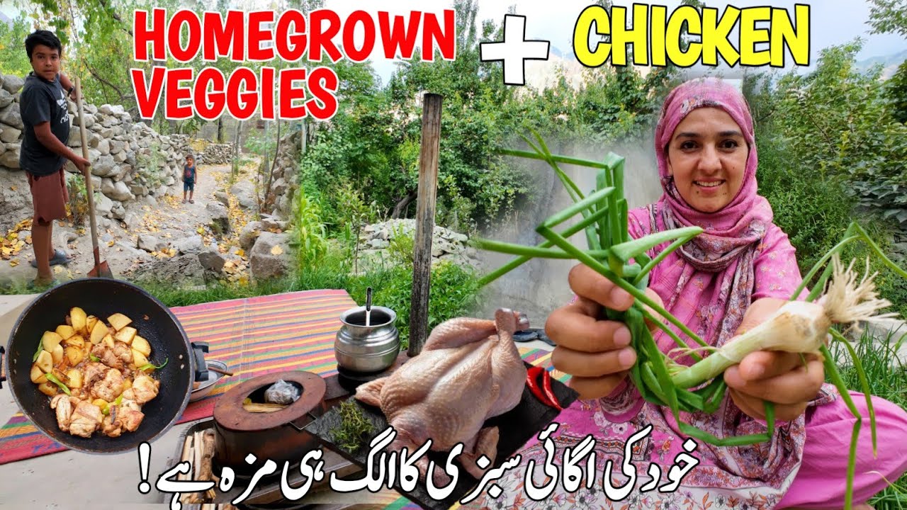 Fresh Organic Vegetables + Chicken = Ultimate Village Feast! | Traditional Village Life Vlog Gilgit