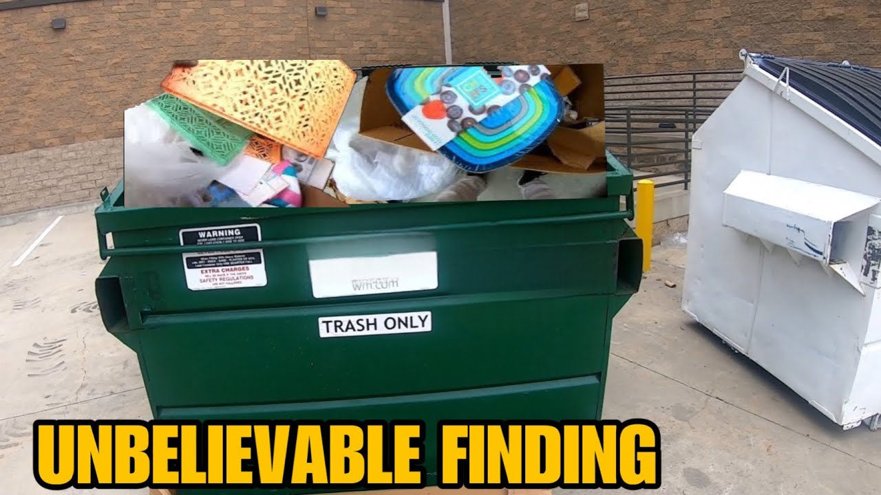 UNBELIEVABLE DUMPSTER FINDS YOU HAVE TO SEE TO BELIEVE!