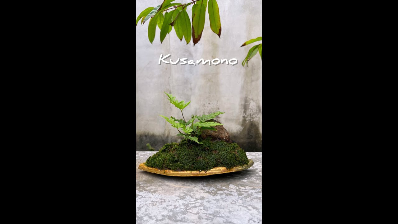 คูสะโมโนะจากวัสดุเหลือใช้ #bonsai