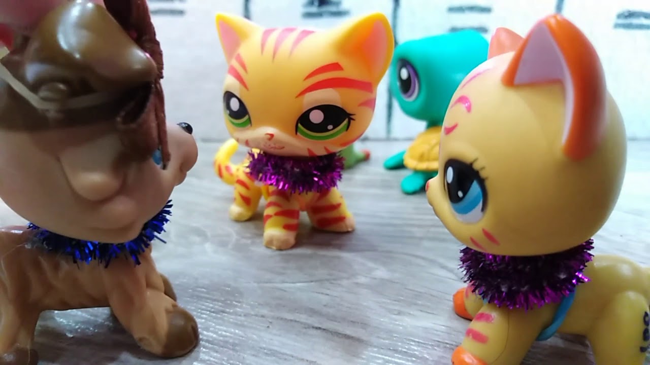 LPS-Můj náhradní kluk🙊🤫
