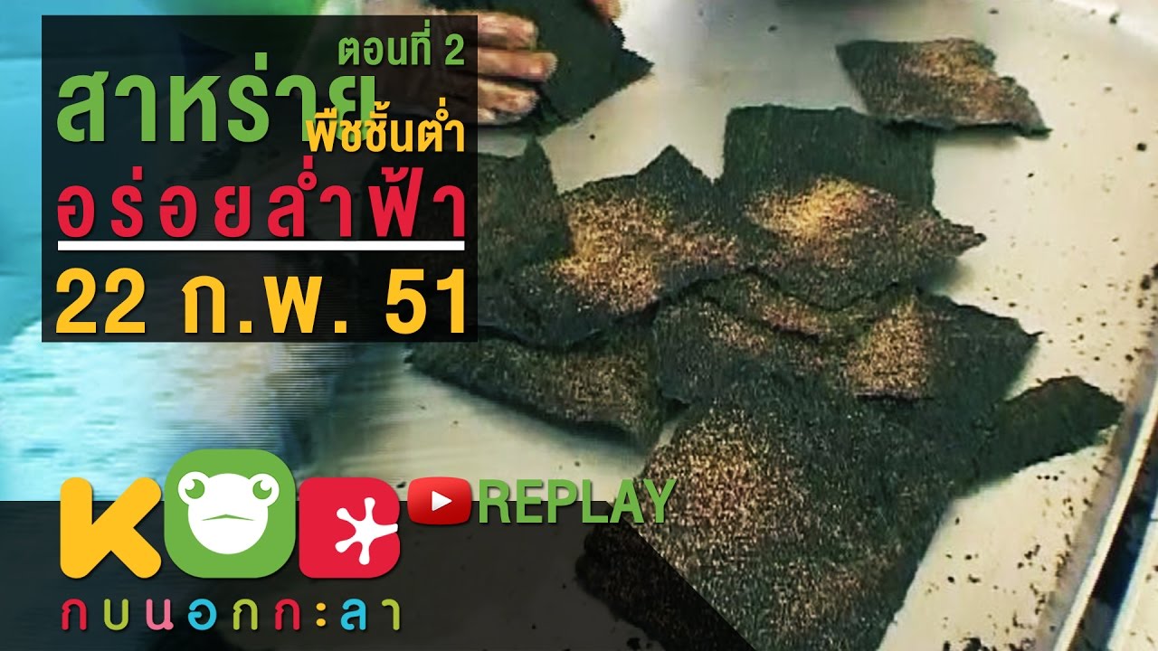 กบนอกกะลา REPLAY : สาหร่ายพืชชั้นต่ำอร่อยล้ำฟ้า (2) ช่วงที่ 4/4 (22 ก.พ.51)
