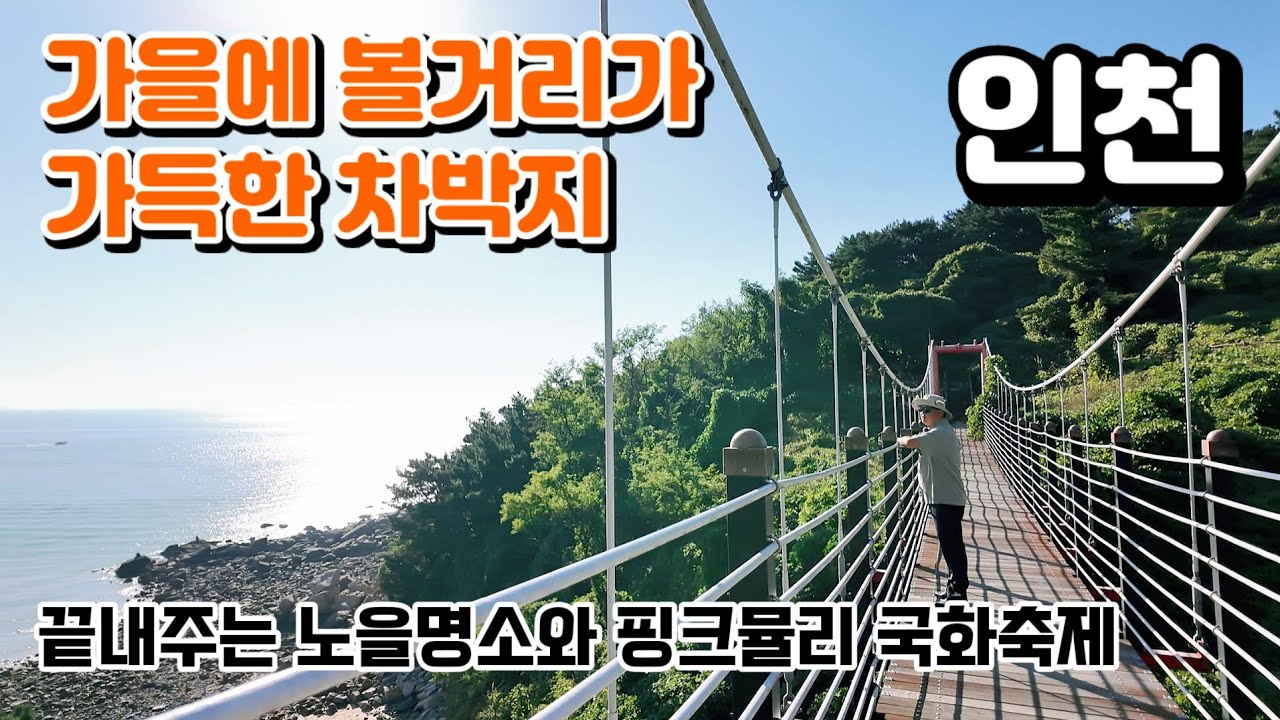 가을에 풍성한 볼거리가 가득한 차박지/선녀바위해수욕장 차박지/화장실 ok /왕산마리나항/노을명소/드림파크국화축제 / 핑크뮬리 #차박 #travel #camping #여행