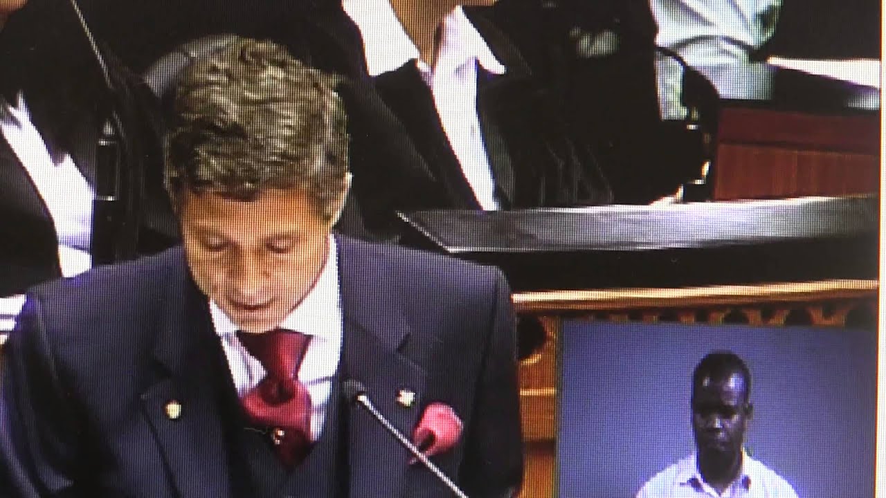 IFP MP Mario Ambrosini on the Decriminalisation of Medical Marajuana