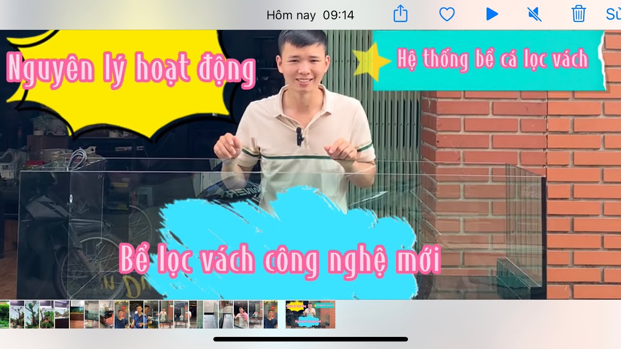 Hệ thống lọc vách của một chiếc bể cá sẽ hoạt động như thế nào?