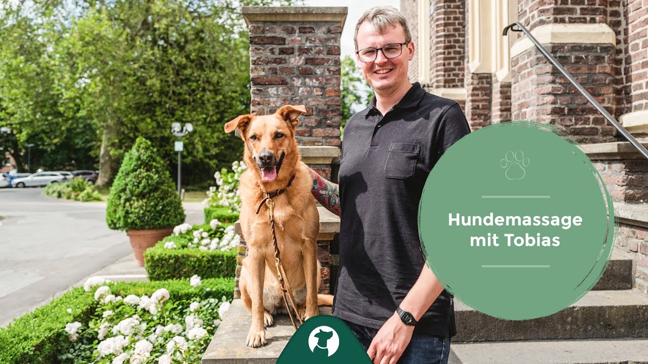 Deinen Hund massieren - So geht eine Hundemassage / Mit Tobias Nebelung