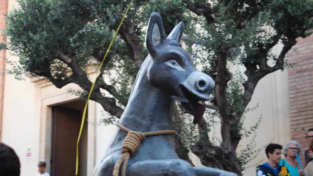 Despenjada de l'ase - Festa Major de Sant Joan (25/6/25)