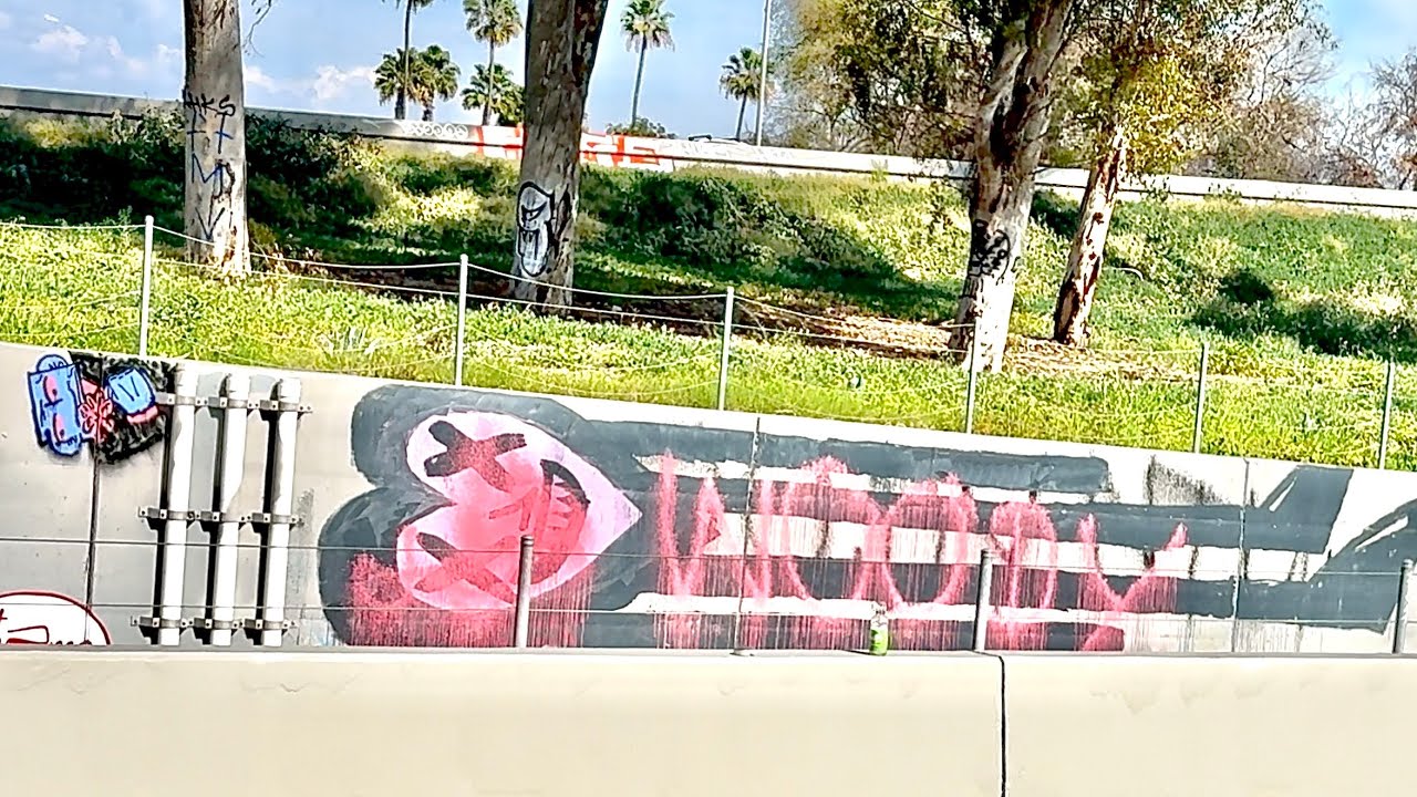 CRUISING SOUTHBOUND HOLLYWOOD FWY DON'T FORGET TO GRAFFITI THE TREES. WHO WINS: ARTIST OR AUTHORITY?