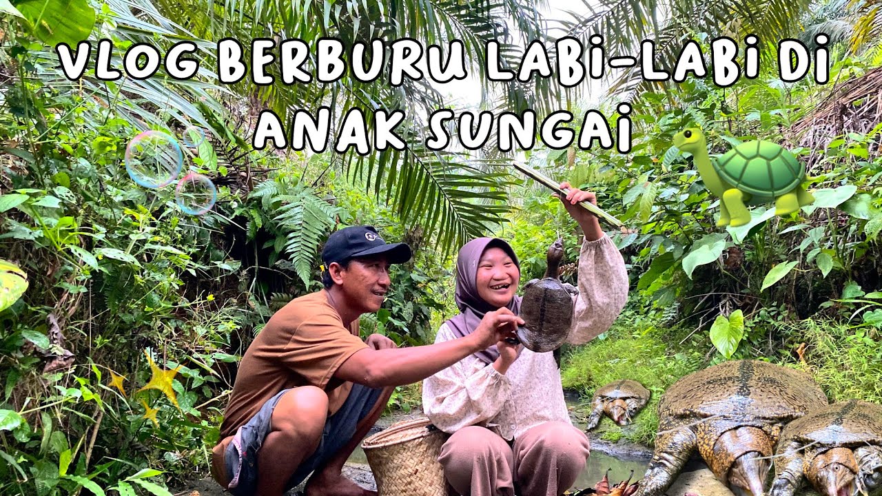 mencari labi labi di sungai 