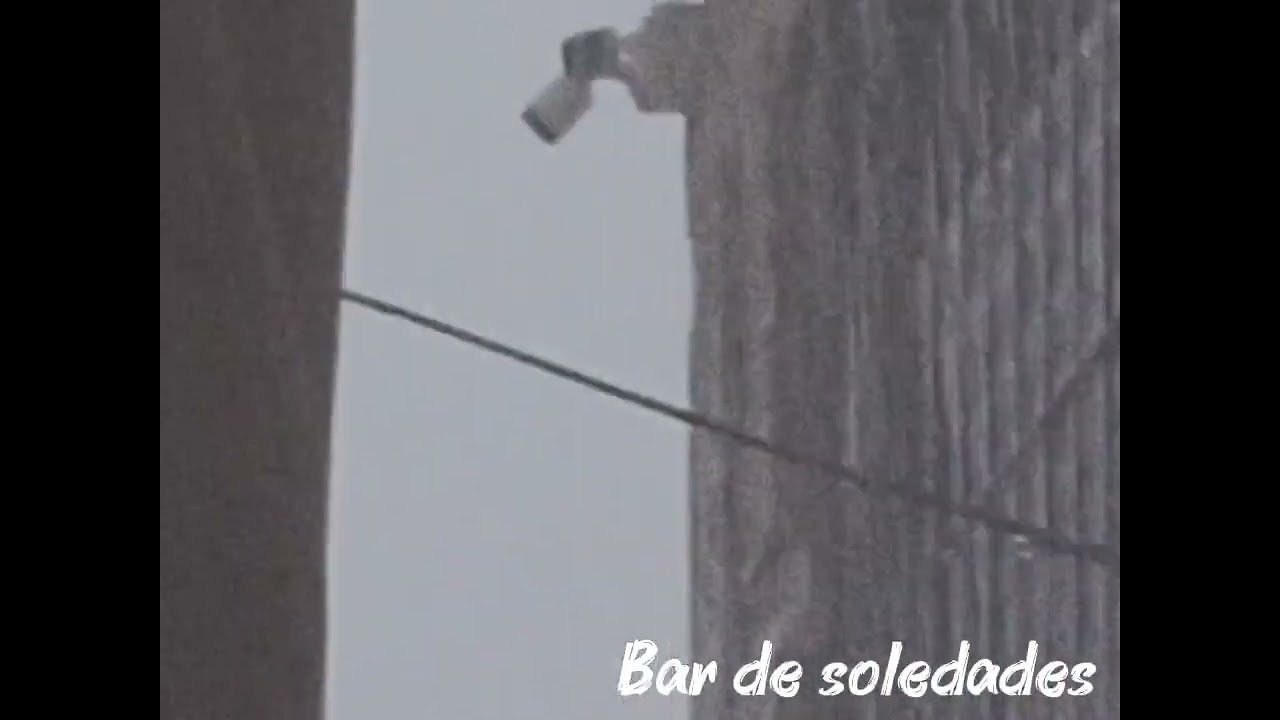 Bar de soledades 
