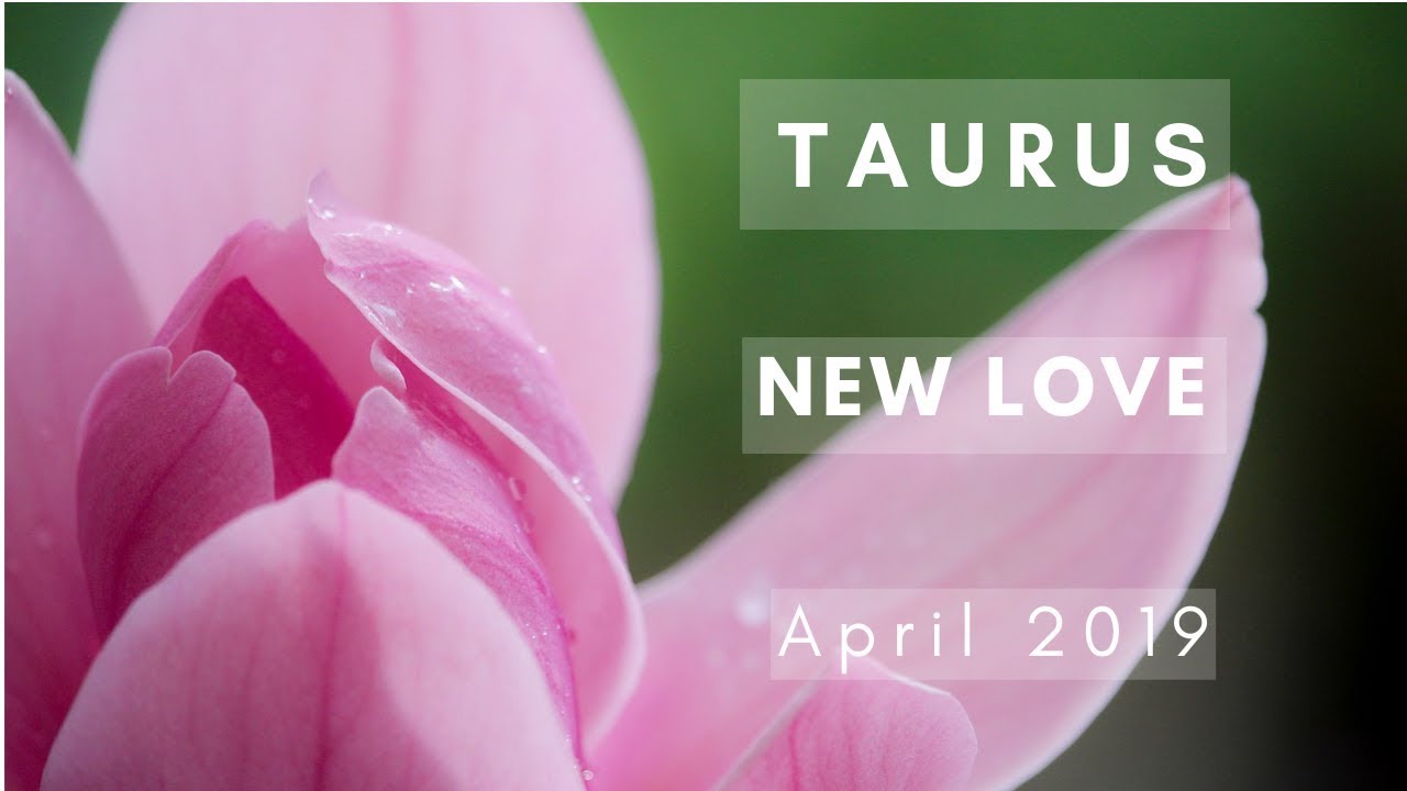 TAURUS: New Love! April 2019