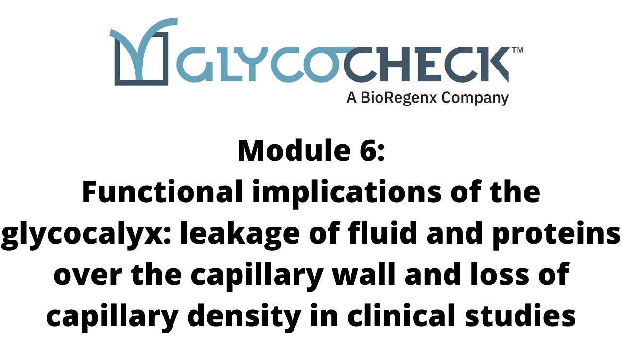 Glycocalyx functional implications: Leakage of fluid and proteins over the capillary wall