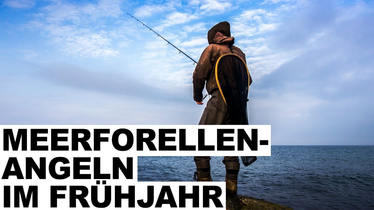 MEERFORELLENANGELN IM FRÜHJAHR MIT ANDY PELAJ / ANGELN AUF MEERFORELLEN
