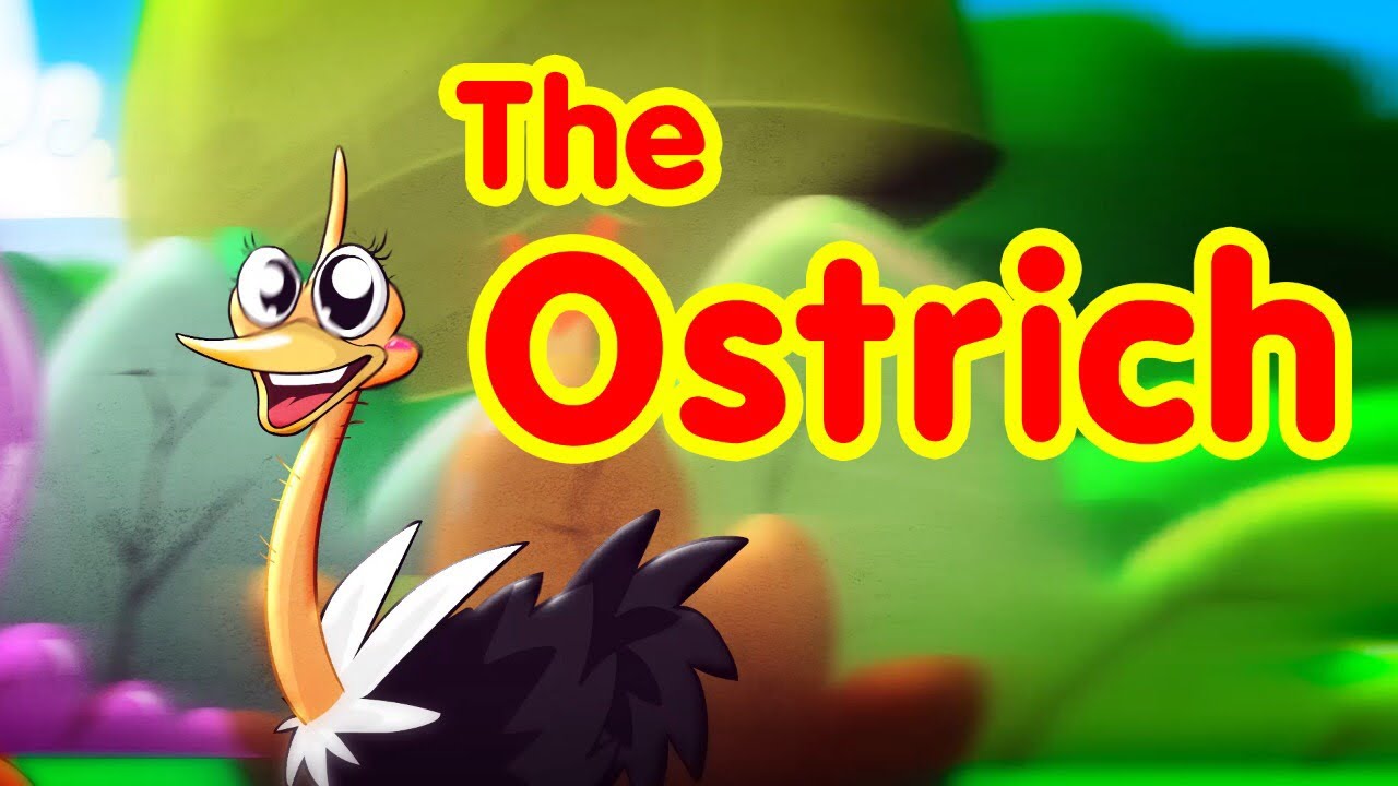 The Ostrich - Toyor Baby English
