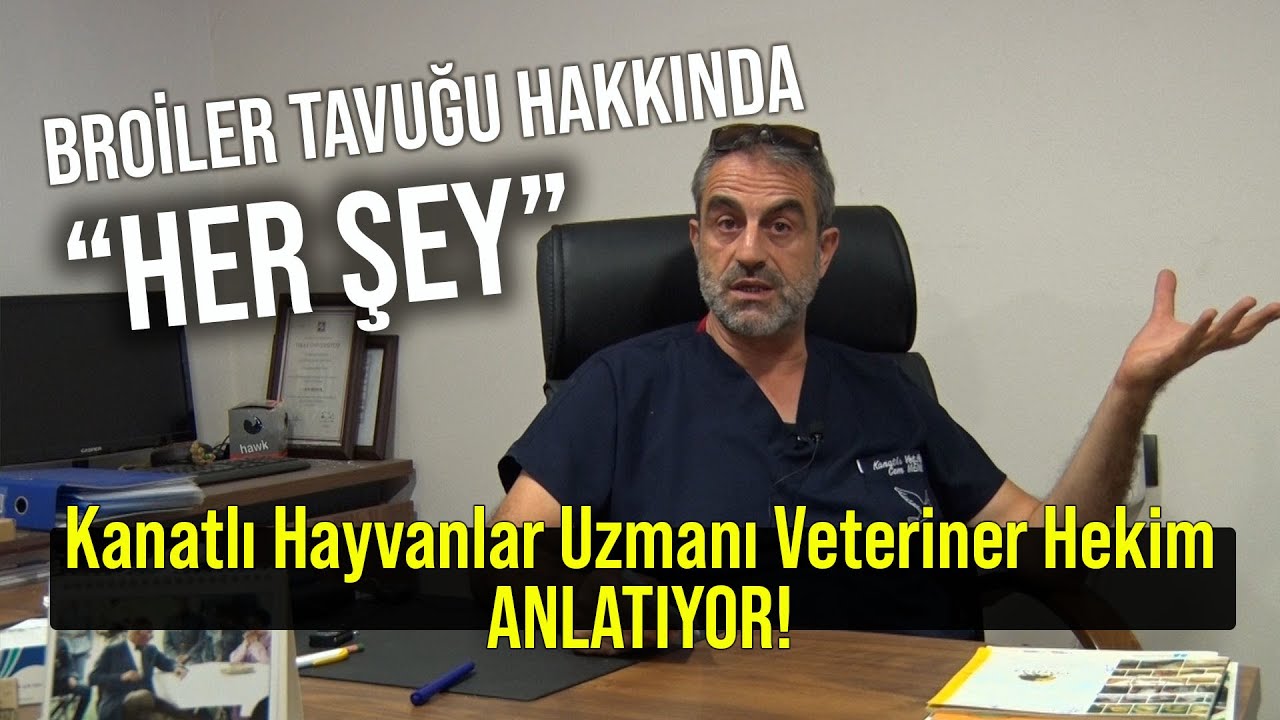 Broiler Tavuğu Hakkında "HER ŞEY" - Dr. Cem ile Kanatlılar