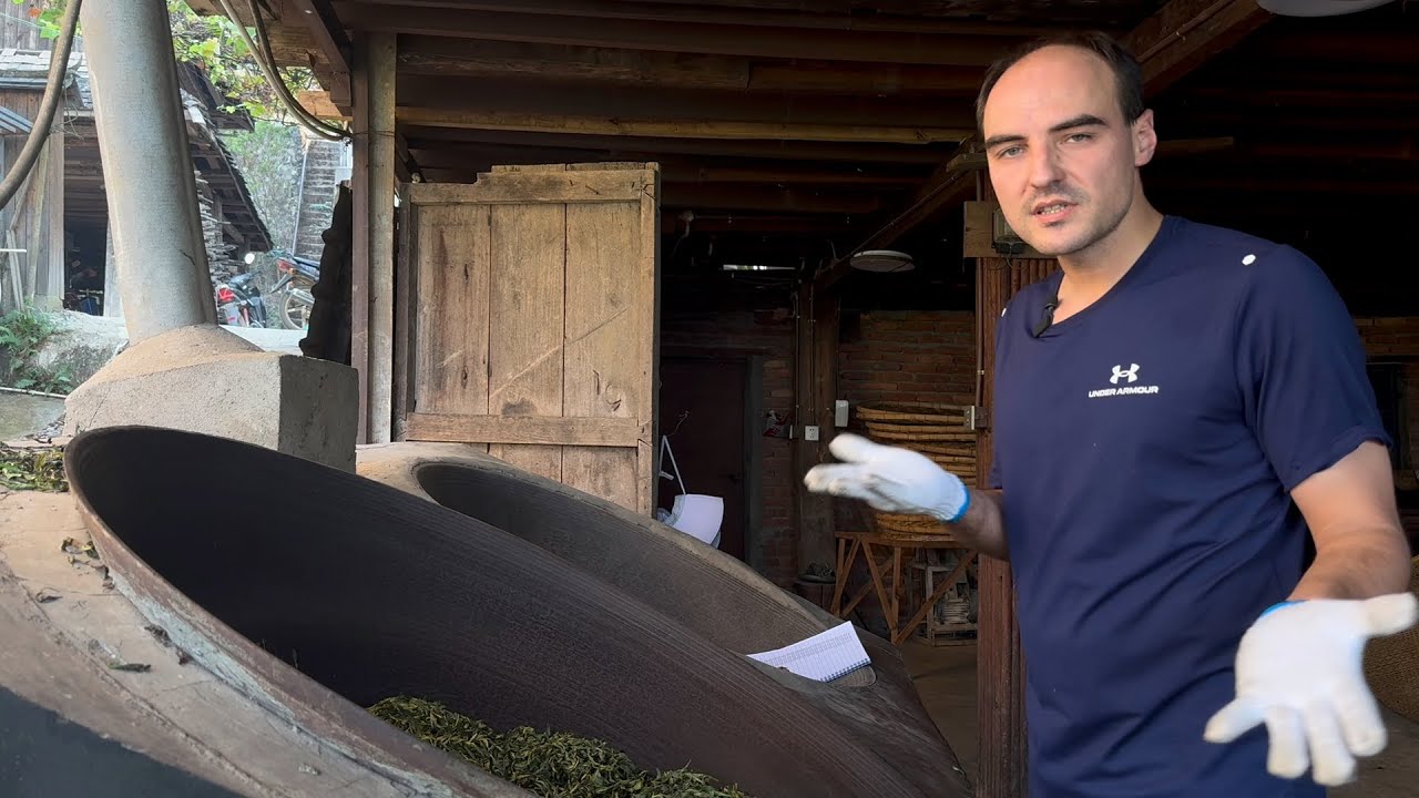 Is the Pu-erh tea market collapsing?