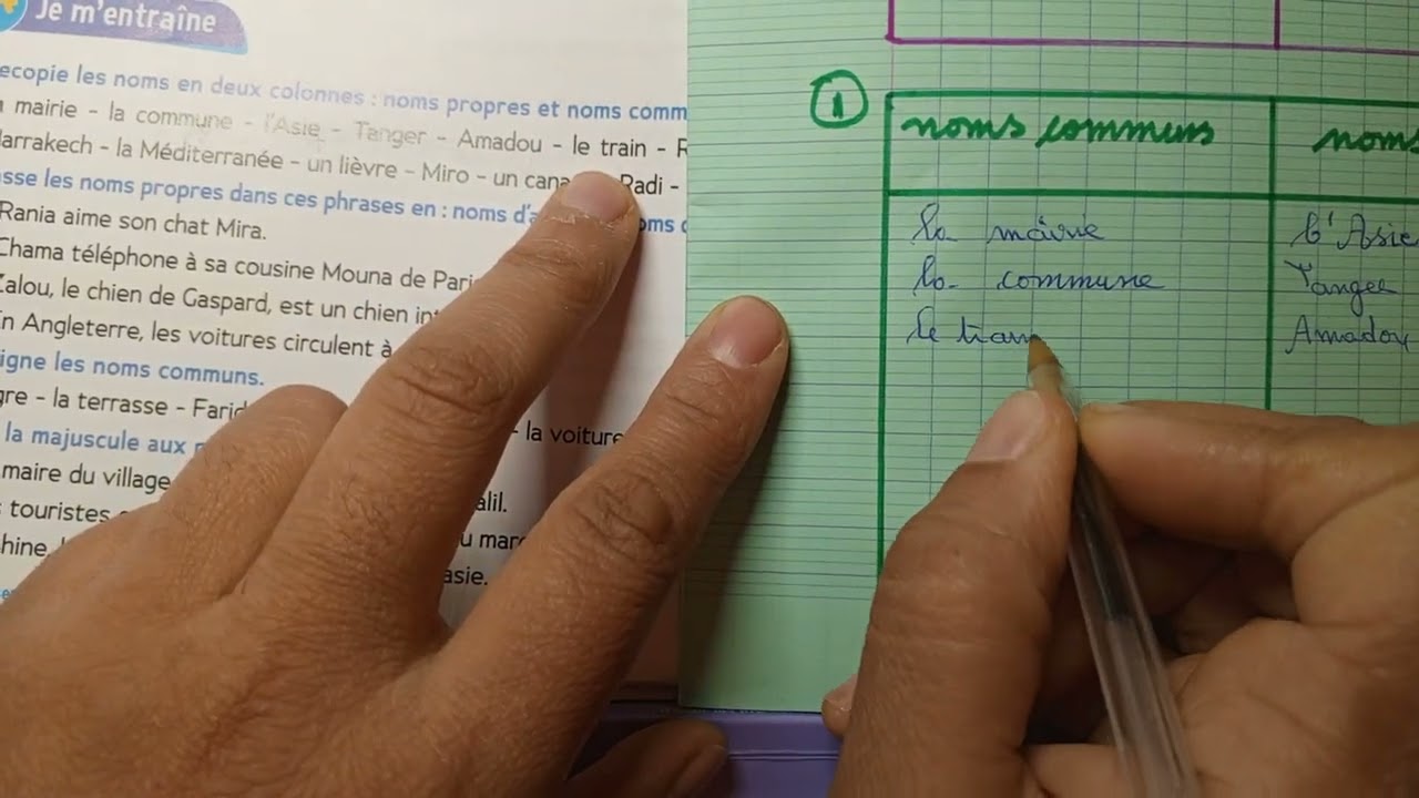 CE2 : Grammaire : Les noms propres et les noms communs page 76.Le trésor des mots