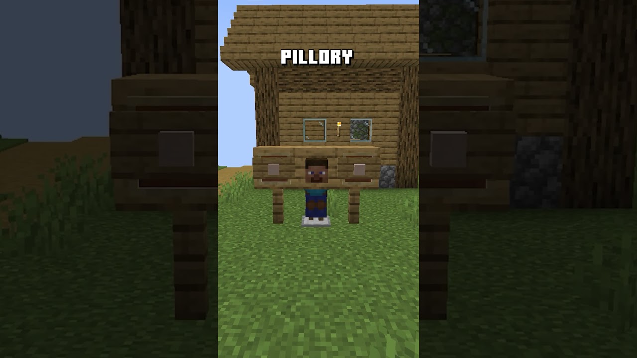 VIllager Torture Build Ideas