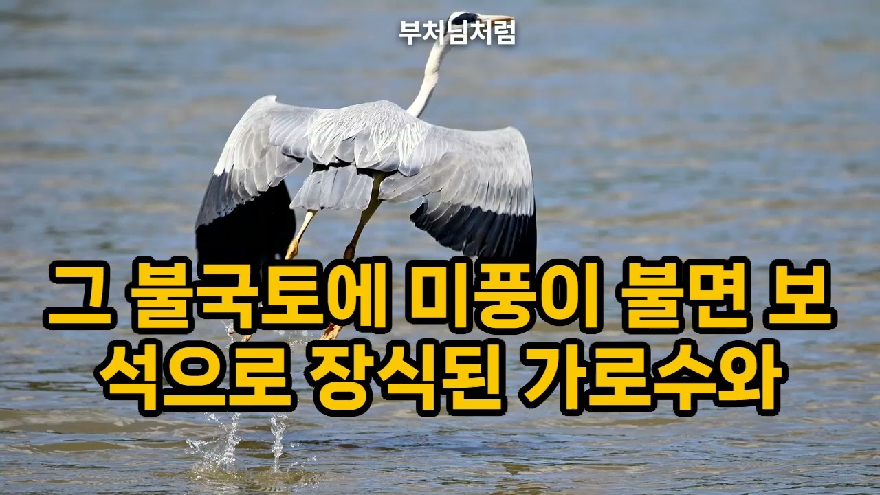 [광고]잠들기 전 경을 들으며 공덕을 짓다 - 불설아미타경 #극락왕생 #부처님 #아미타불