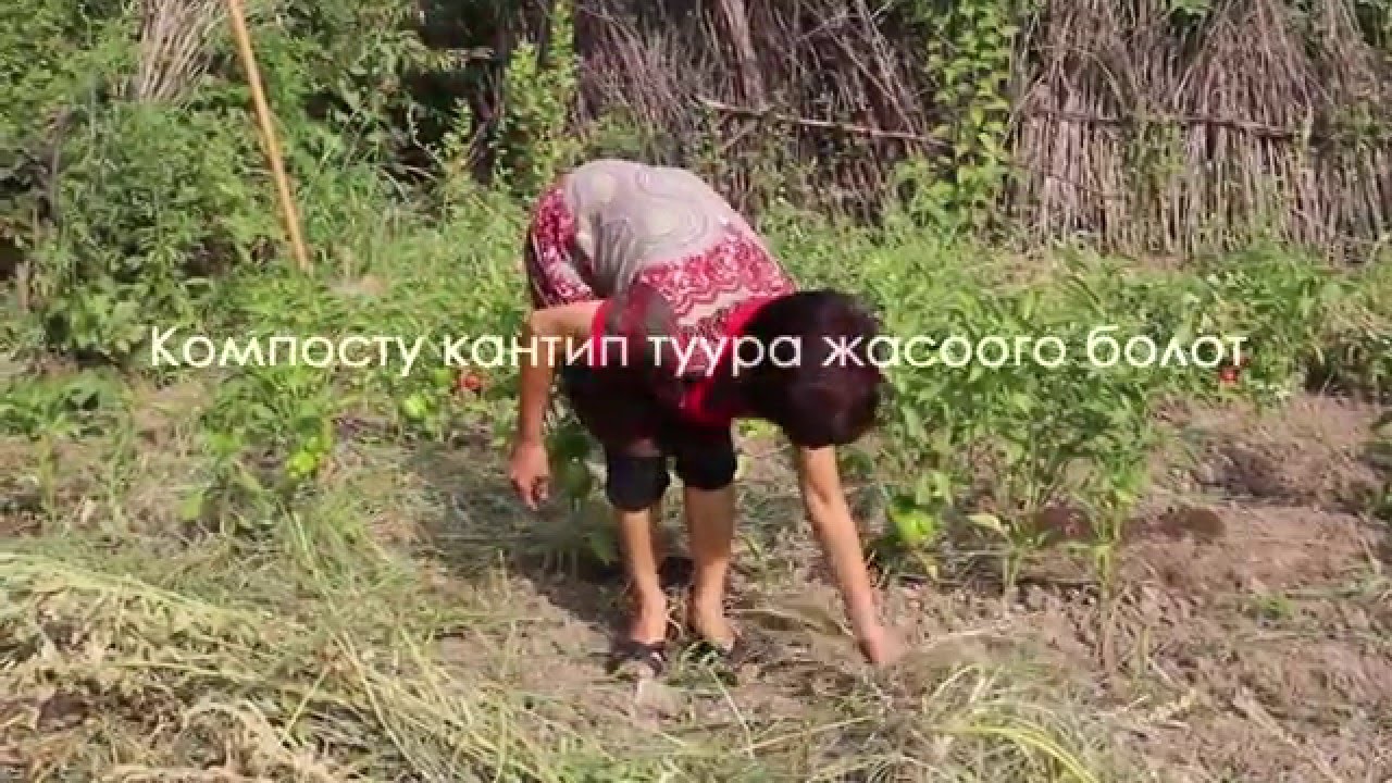 Компост жасоо  – пайдалуу ыкма!