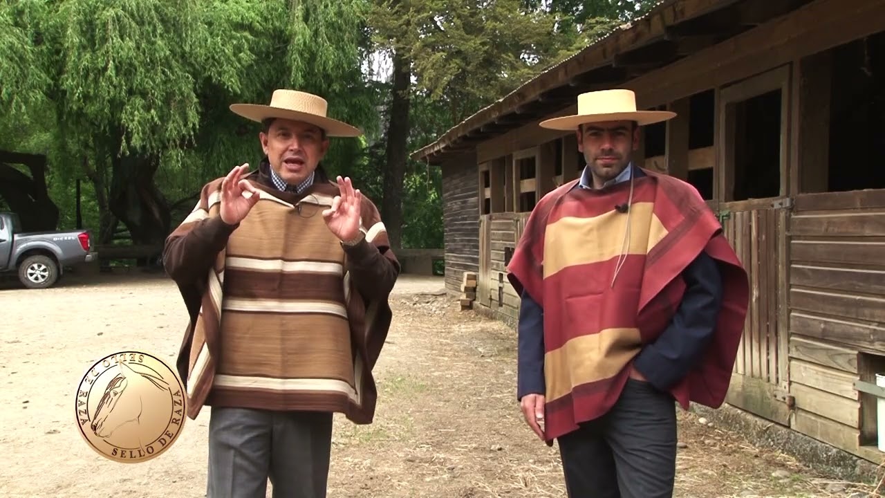Cap536 Criadero El Ideal, Estreno