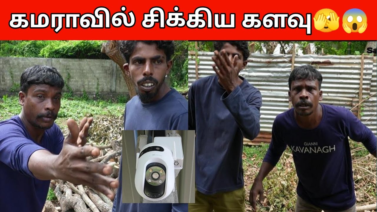 கமராவில் சிக்கிய களவு😱🫣