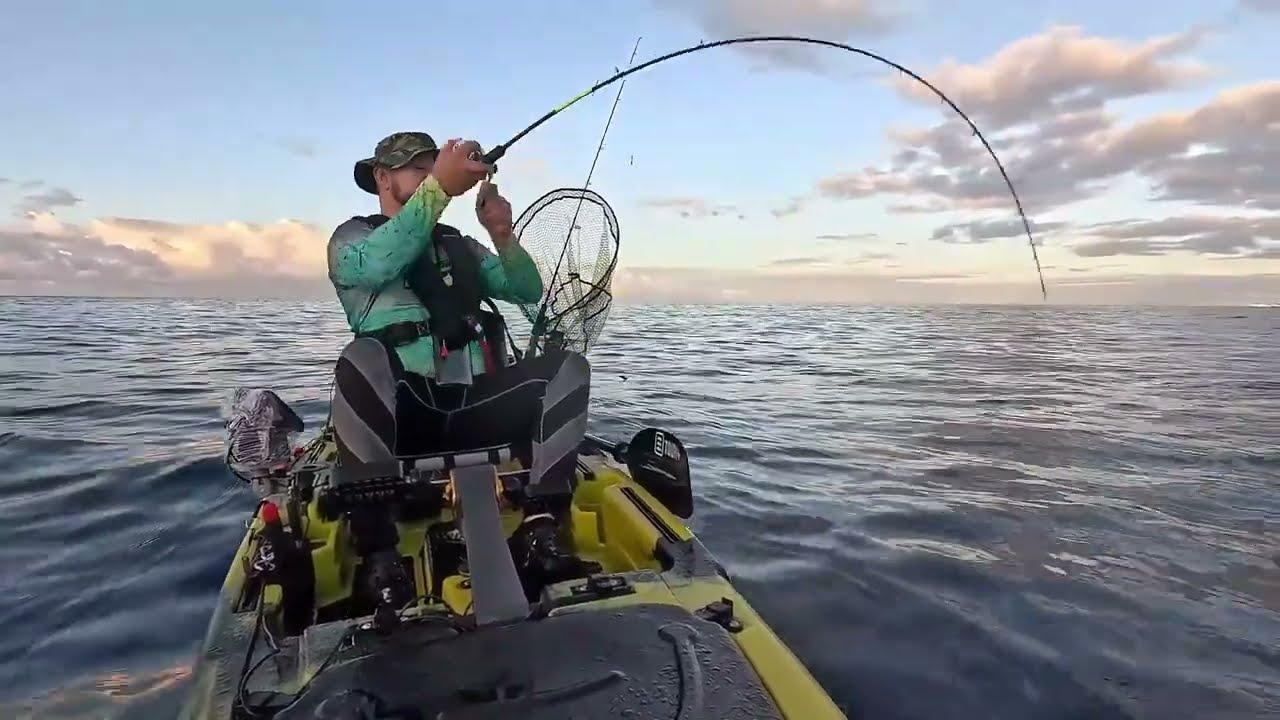 Pesca de kayak - Cavalas