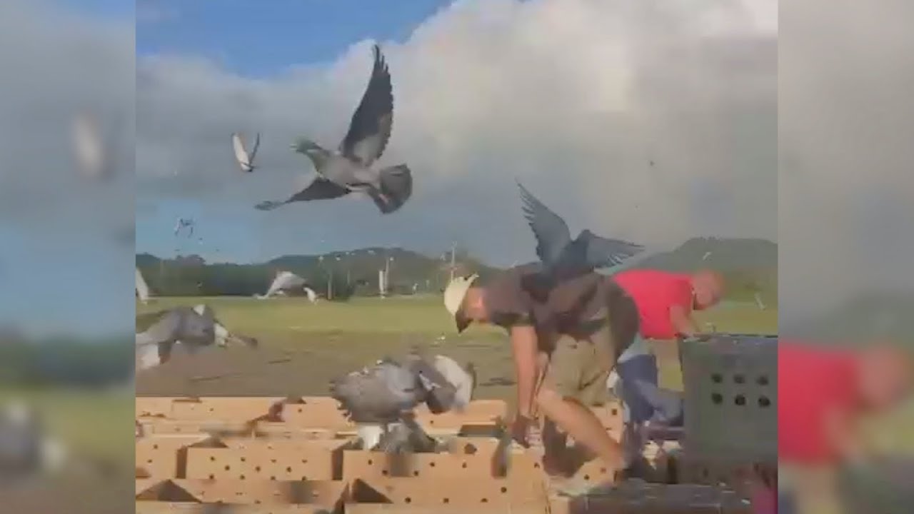 Primera carrera del Puerto Rico invitatiónal club del pueblo de ceiba 🌊🕊💪🙏🇵🇷