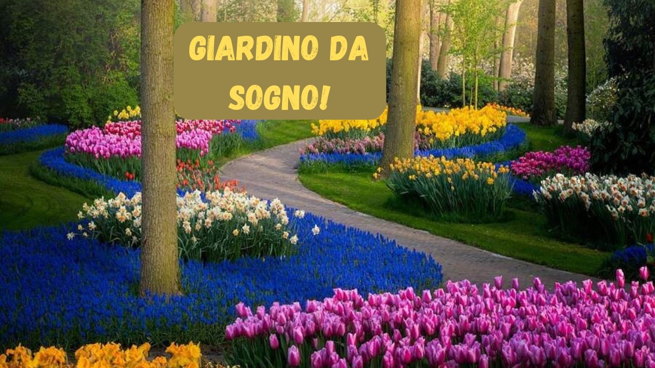 Come creare un Giardino Floreale Splendente passo dopo passo