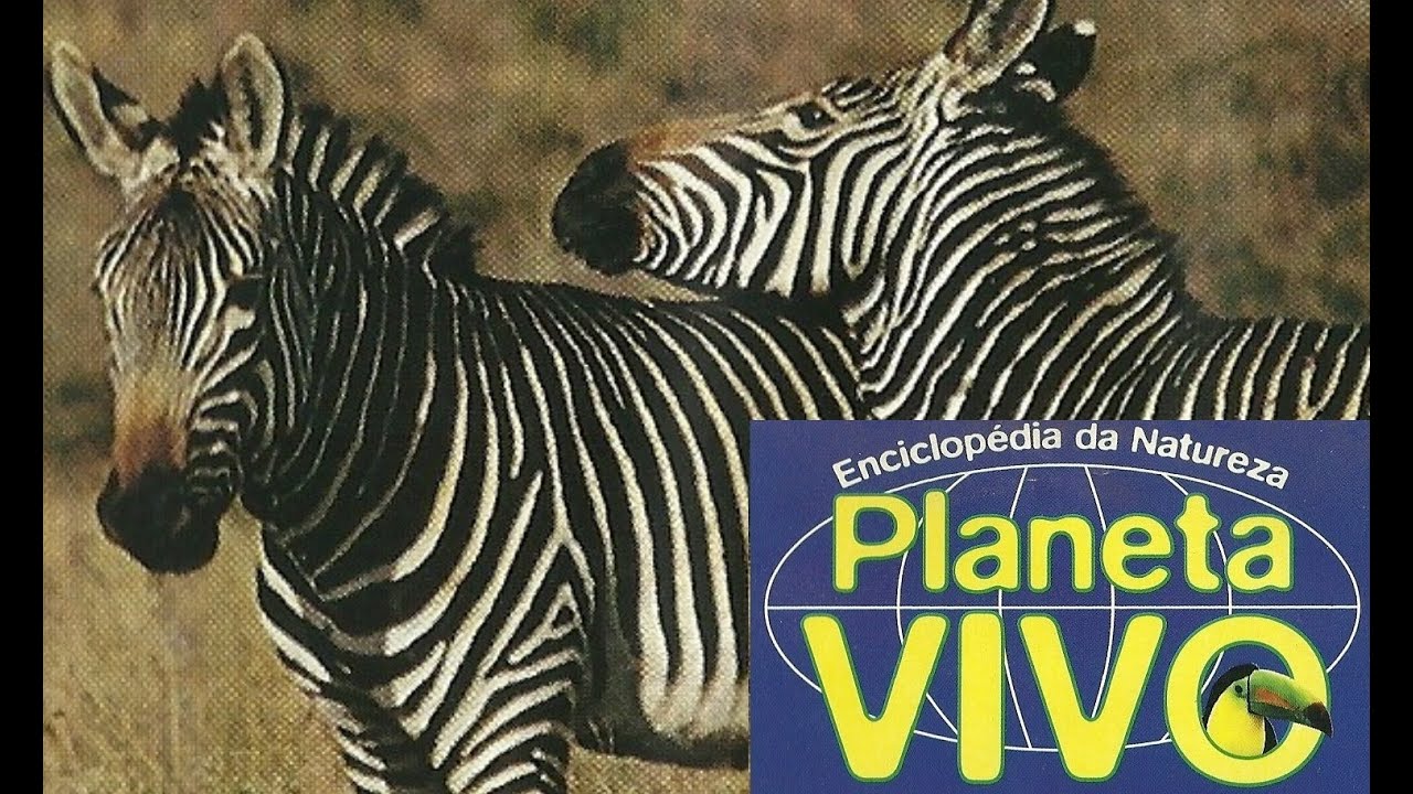 Planeta Vivo - O Grande Karoo