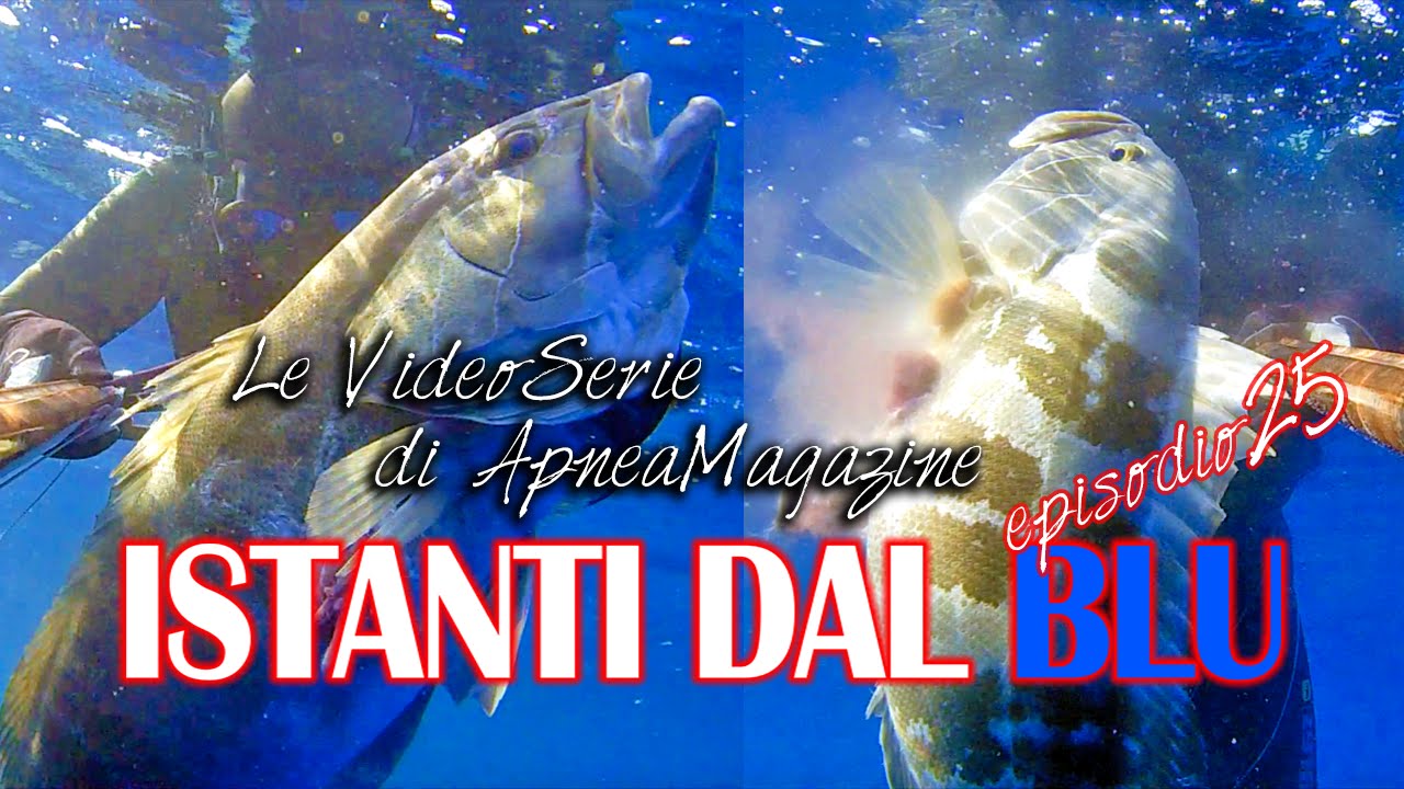 Pescasub Cernia Bianca: Fantasmi sul Fango - Apnea Magazine
