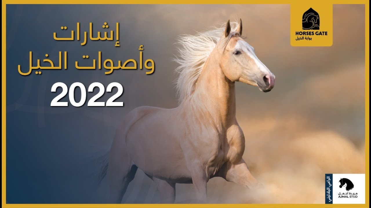 إشارات وأصوات الخيل [2021]