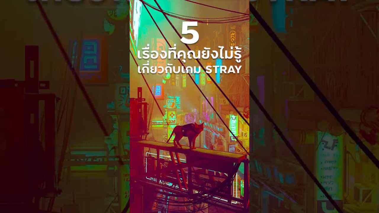 5 เรื่อง 🐱 ที่คุณยังไม่รู้ในเกม Stray #review #straygame #straycats #shorts #gaming