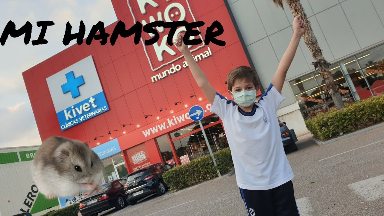 Adopto a mi  hamster 🐹