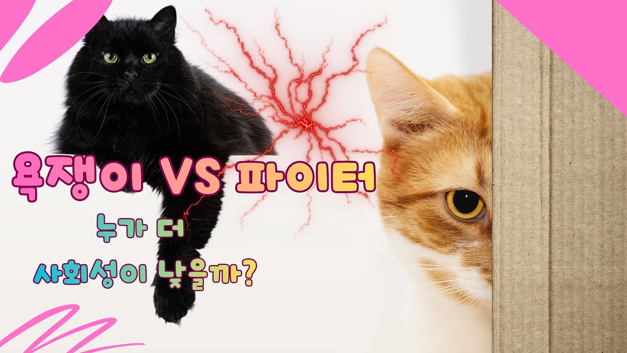 하악질하는 욕쟁이와 폭력적인 파이터 중 누가 더 사회성이 낮을까?