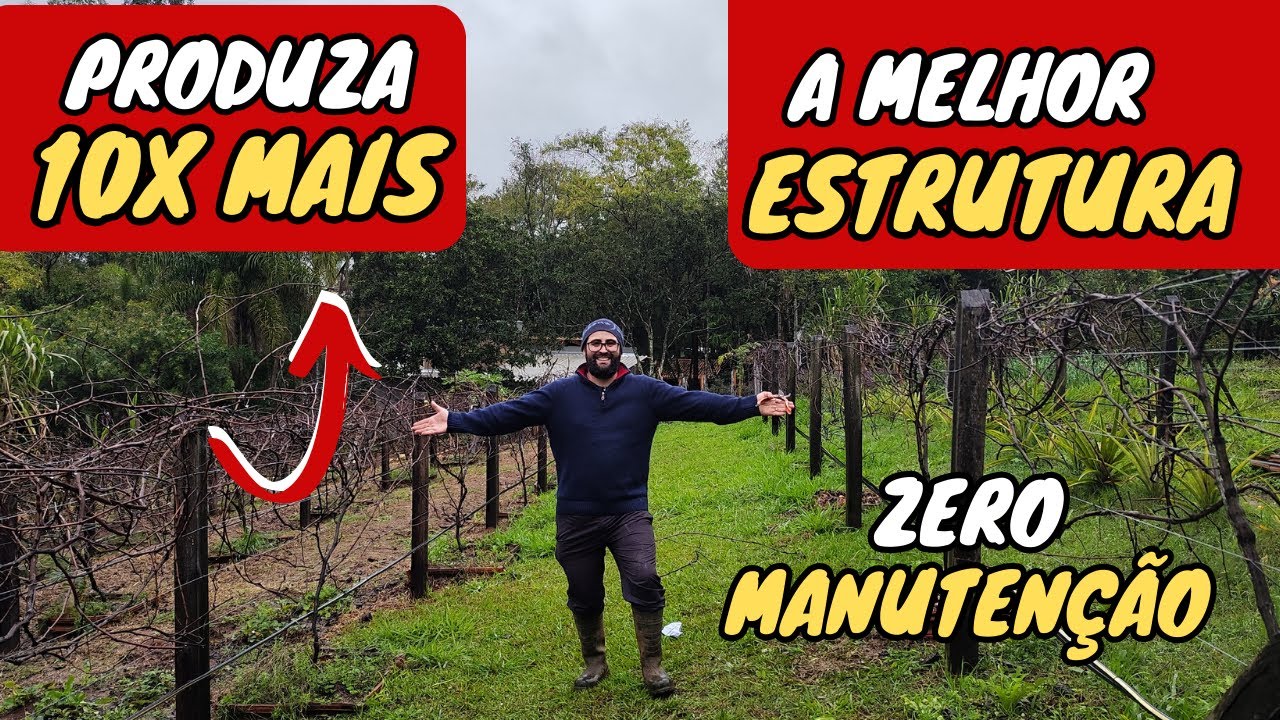 ✅O que TODO MUNDO deveria saber PARREIRA de UVA VERTICAL (Guia COMPLETO)