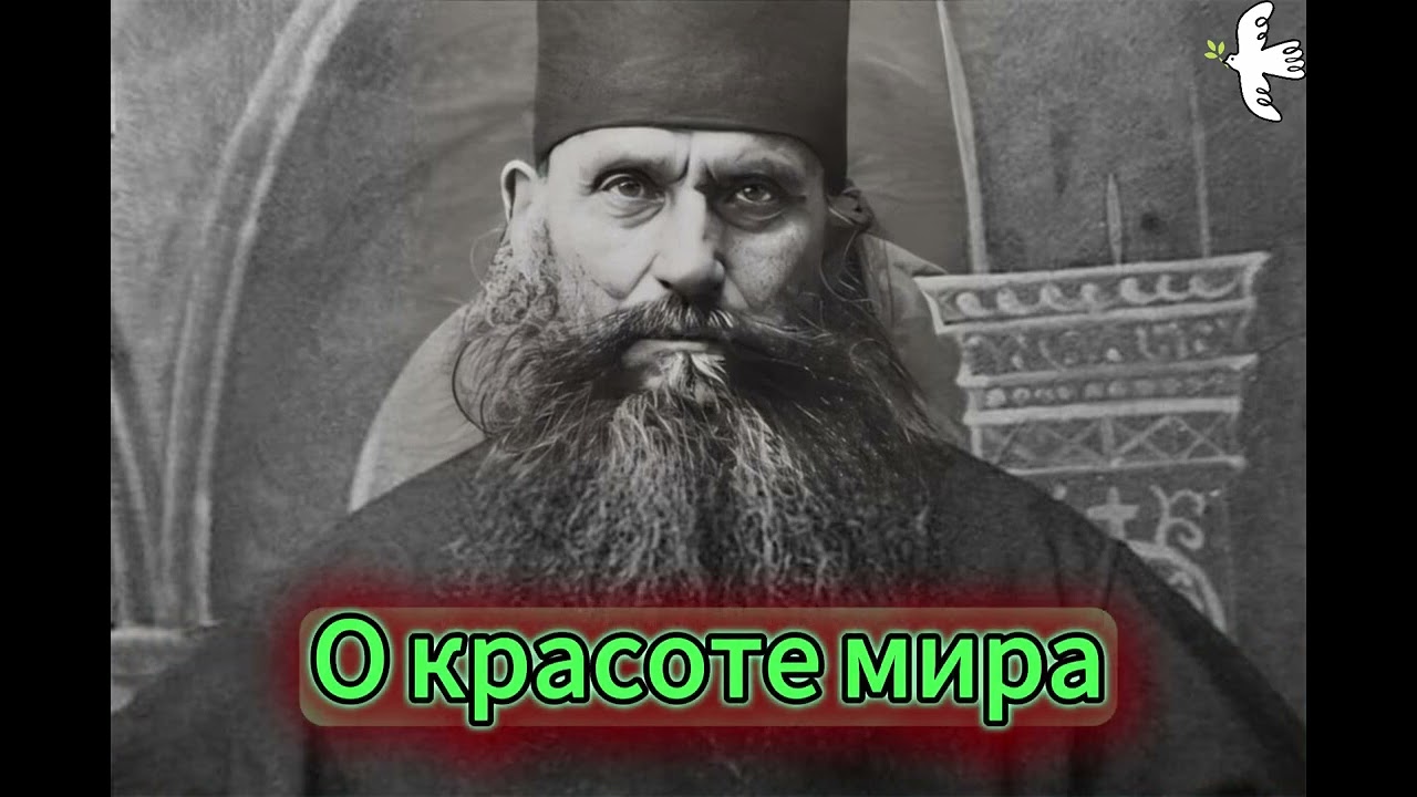 Старец Силуан. Размышления старца
