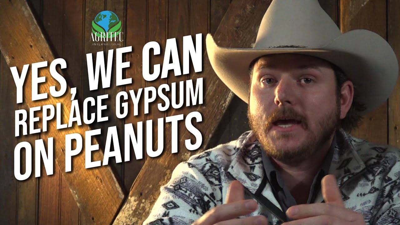 Should I use CALCIUM on PEANUTS? | AgriTec International, University of Florida Trial