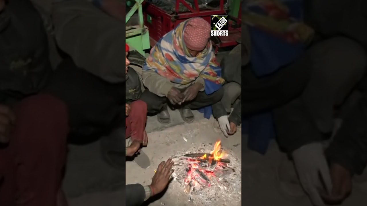 Delhi: Cold wave grips national capital, locals huddle around bonfire