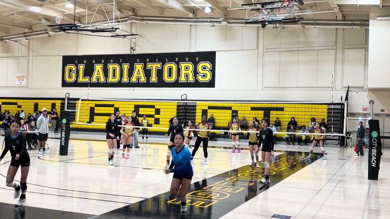 Bay Area Eagles Set 1