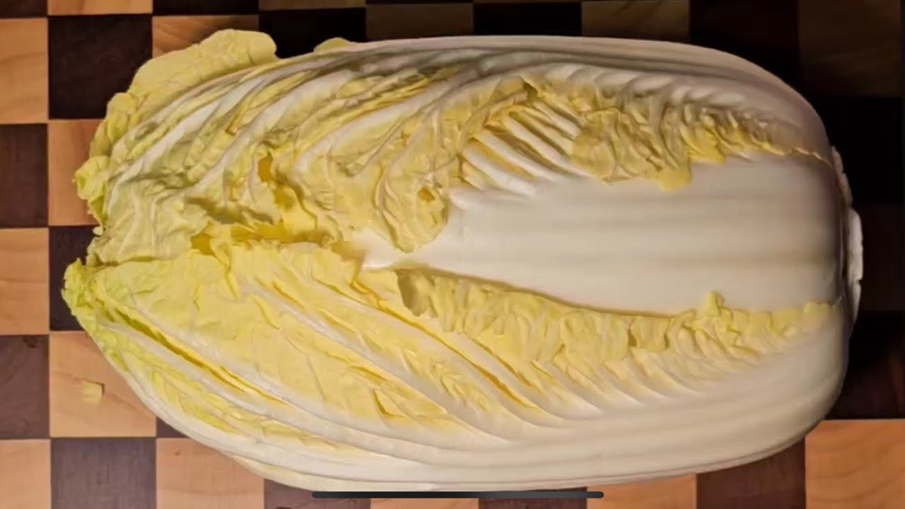 발효의 힘이 살아있는 김치! 다이어트 식단에 부담 없는 저칼로리 식품 백김치