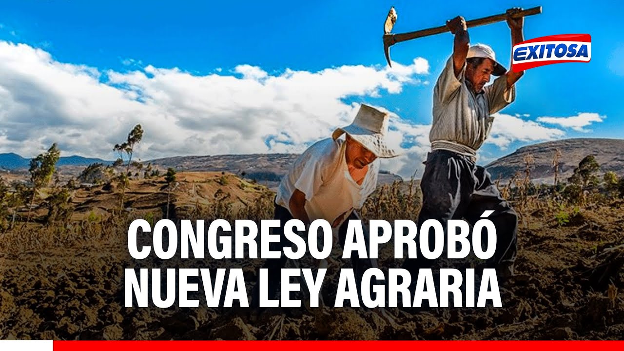 🔴🔵 La idea es que los pequeños agricultores puedan asociarse con la modernidad, indica AGAP