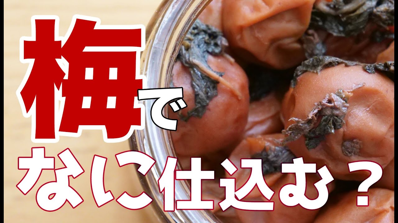 縁起物の梅干し？蒸した梅で作る？杏の味のする梅干し？我が家の梅仕込み・梅干し・梅漬け・梅調味料・梅シロップなど