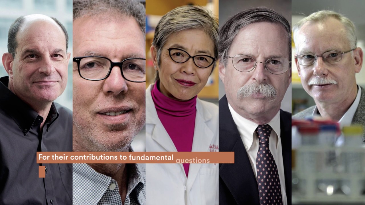 2020 Breakthrough Prize in Life Sciences Winners