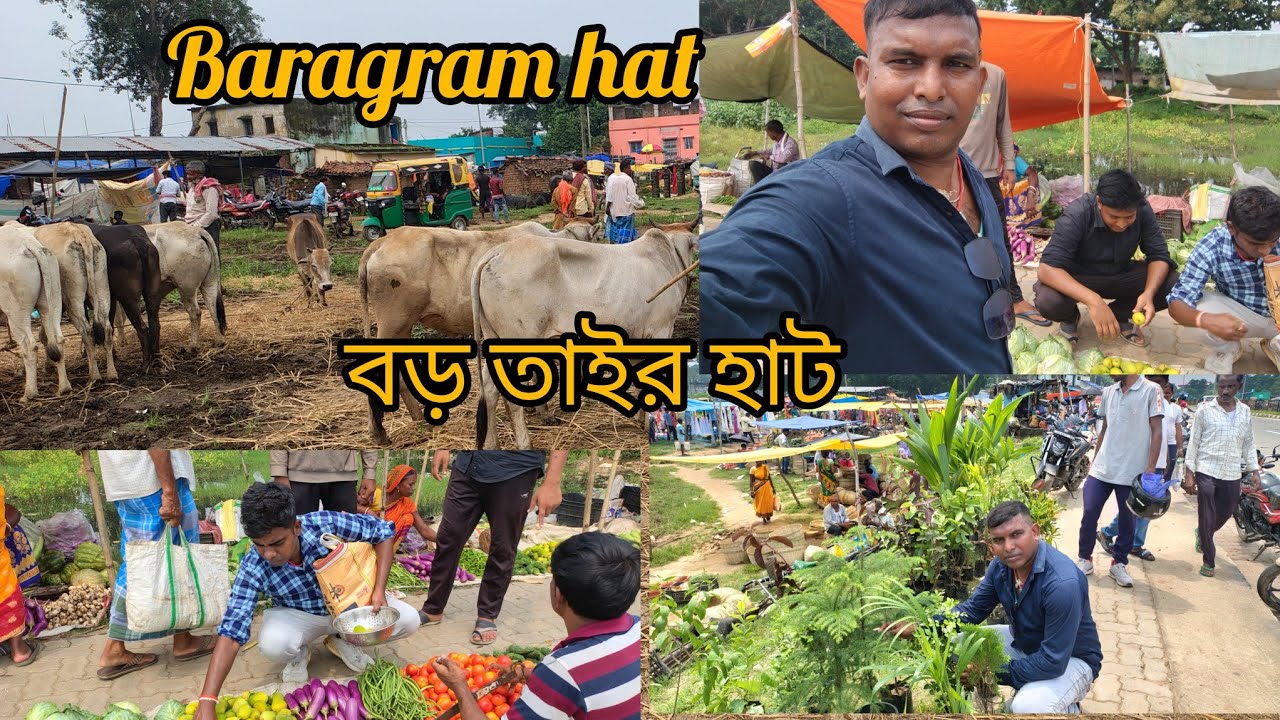 Bor taird hat (baragram hat ) বড় তাইন্ড 🤠🥳। গরু, কাঁড়া, পাঠা,ছাগল , ভেড়া, হাঁস মুরগি পাওয়া জায়।
