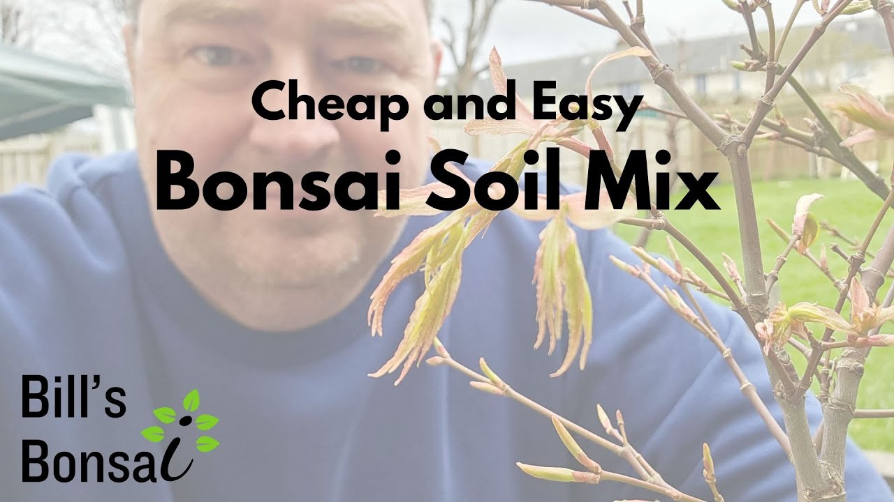 Cheap and Easy Bonsai Soil Mix
